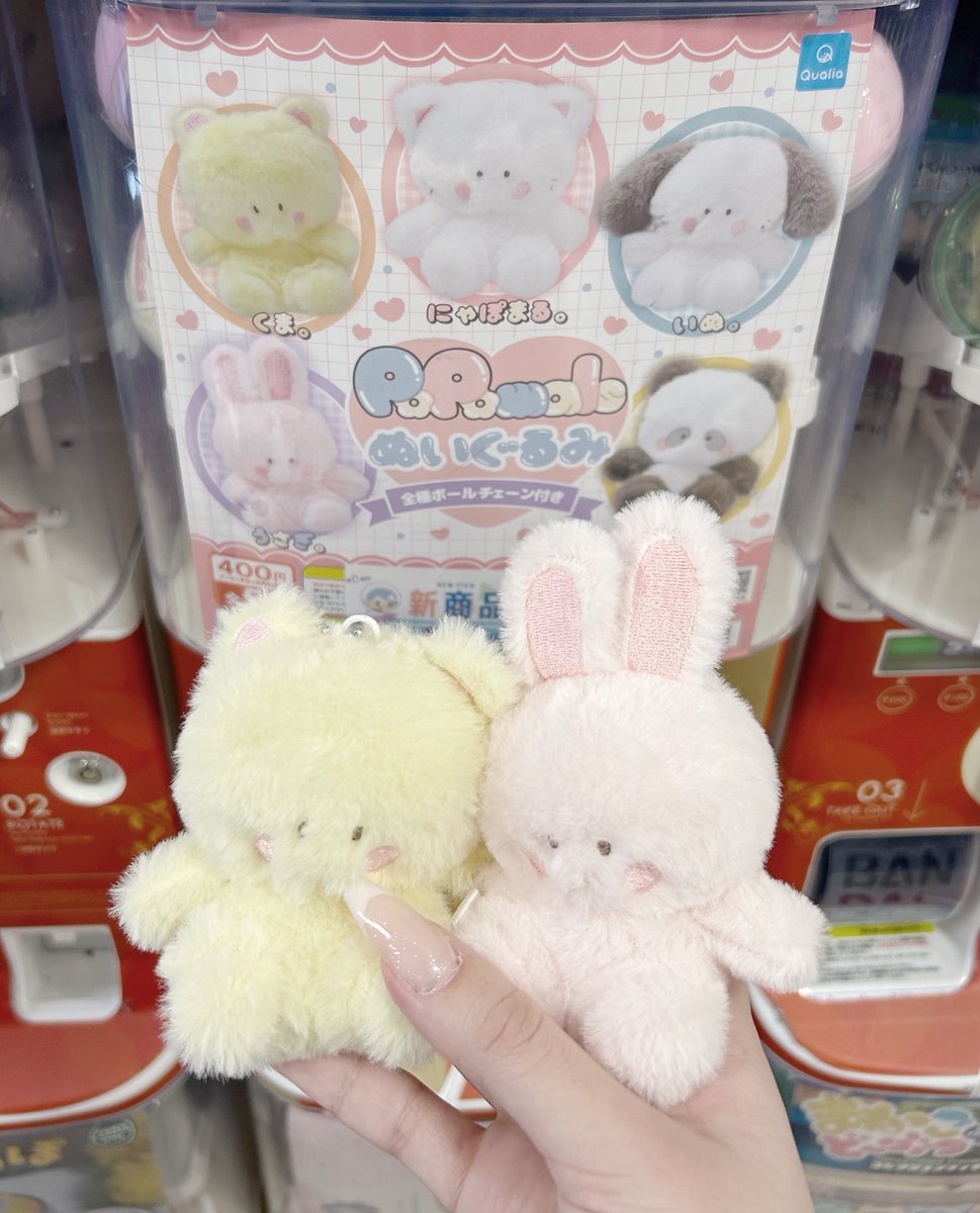 ねこぽた。 (@lllillli08) / Posts / X