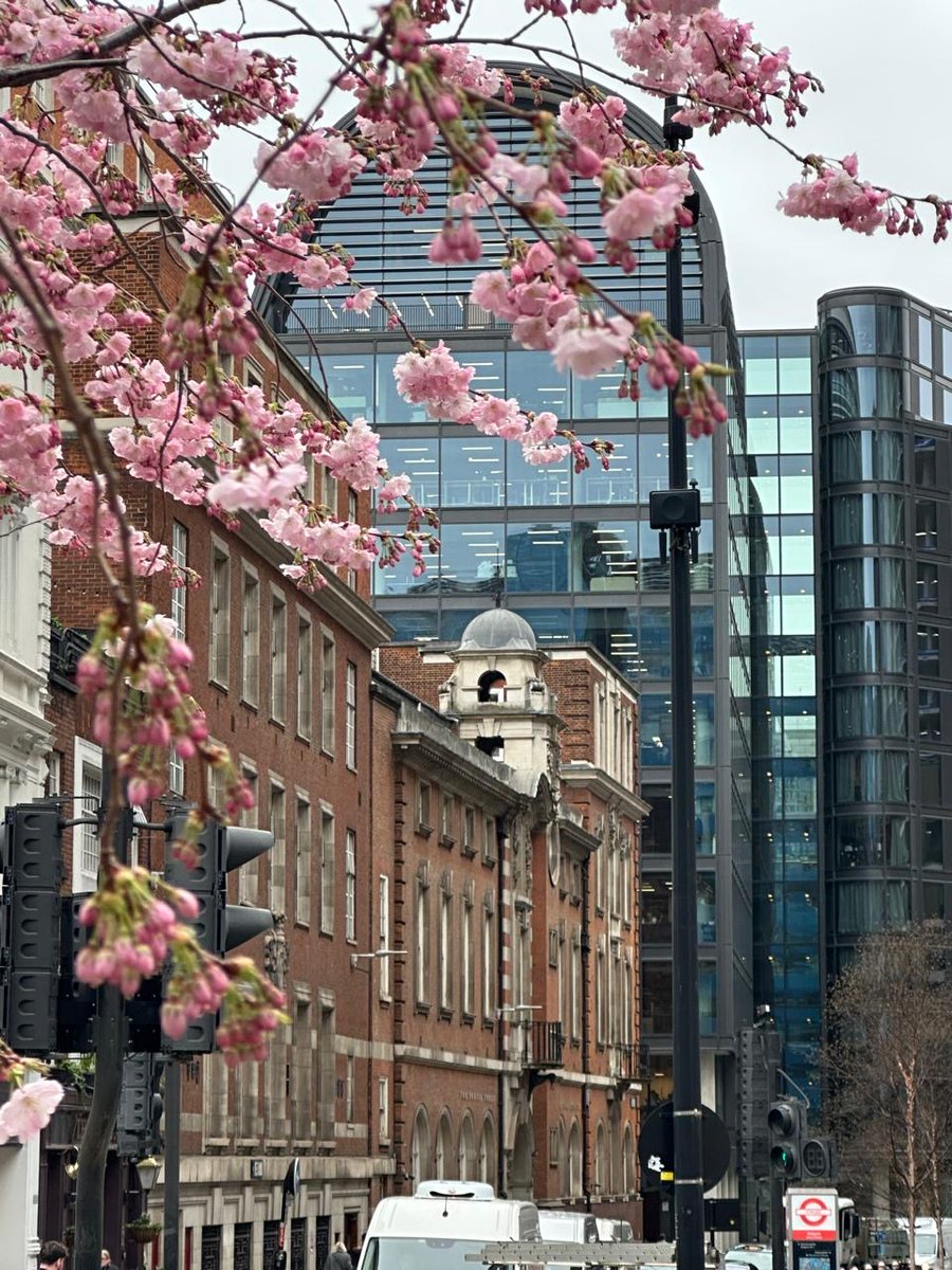 DavidGame's tweet image. 🌸 Spring has arrived in the City of London! 🌸
.
.
.
.
.
.
.
#SpringInLondon #StudyInLondon #BoardingLife #CityOfLondon #DavidGameCollege #StudentLife #LondonViews 🌸📚