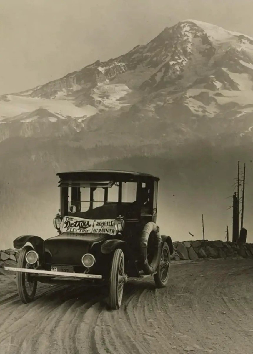 SheepDog tweet media