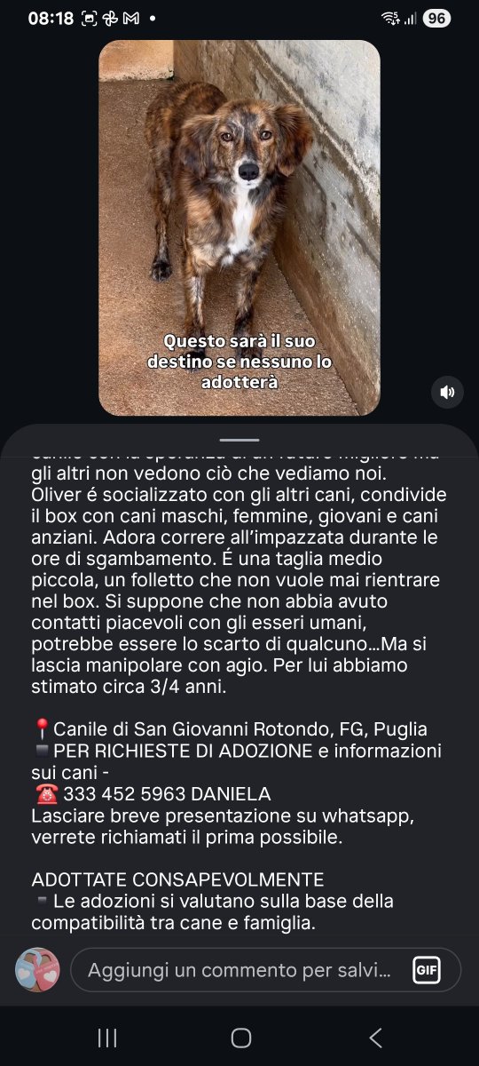 Annina🇮🇹 (@annina_cutillo) on Twitter photo 