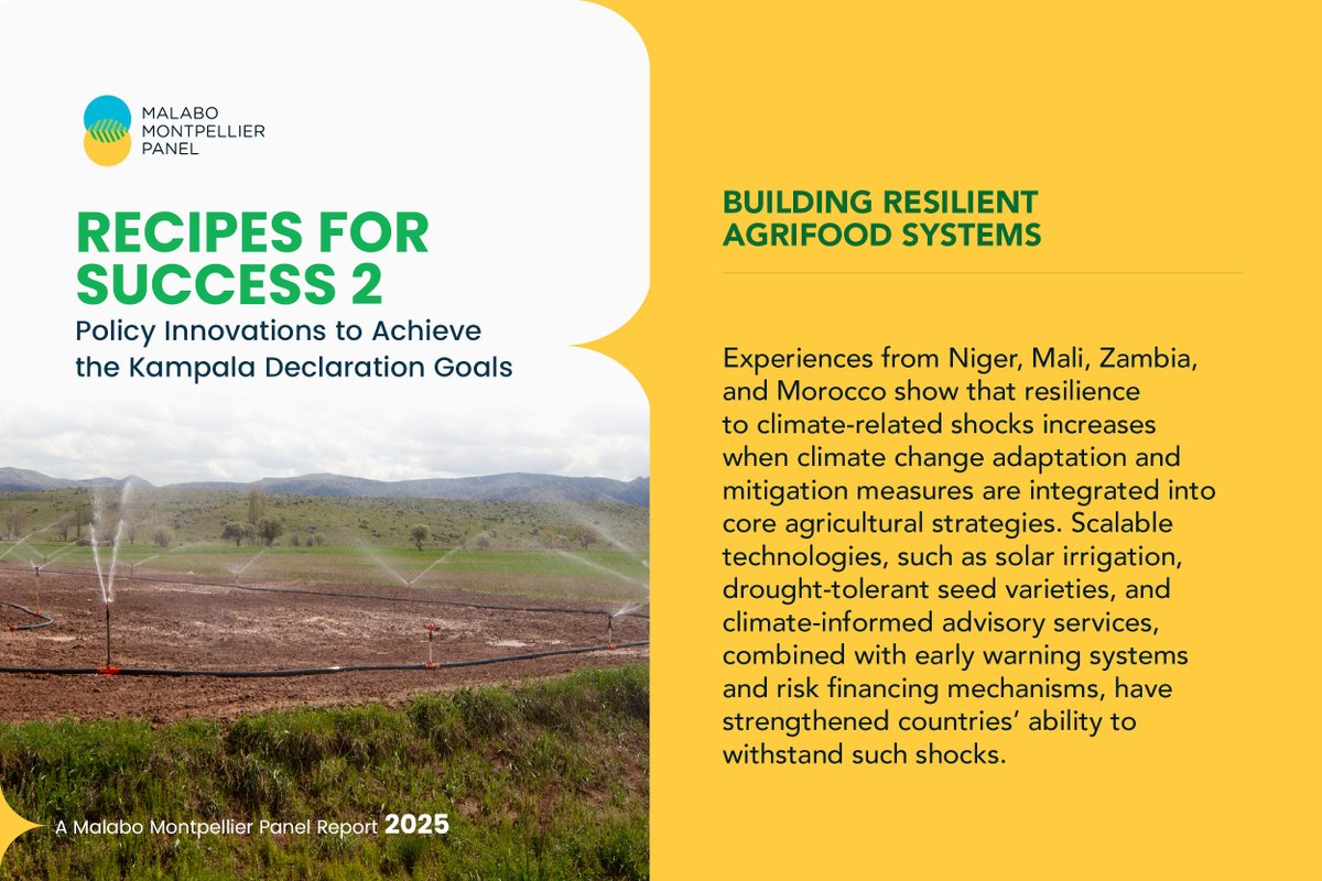 Malabo Montpellier Panel tweet media