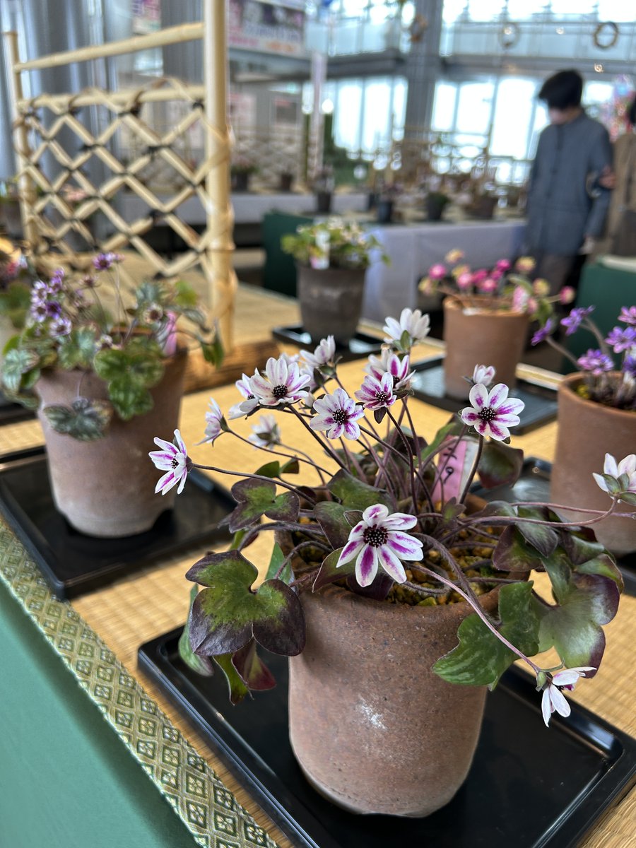 国営越後丘陵公園(公式) tweet media