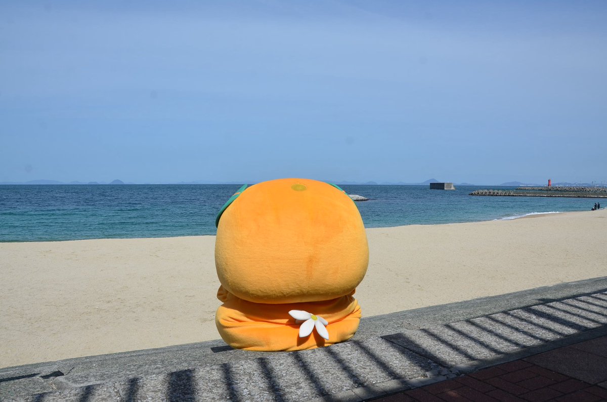 みきゃん【公式】《愛媛県イメージアップキャラクター》 tweet media