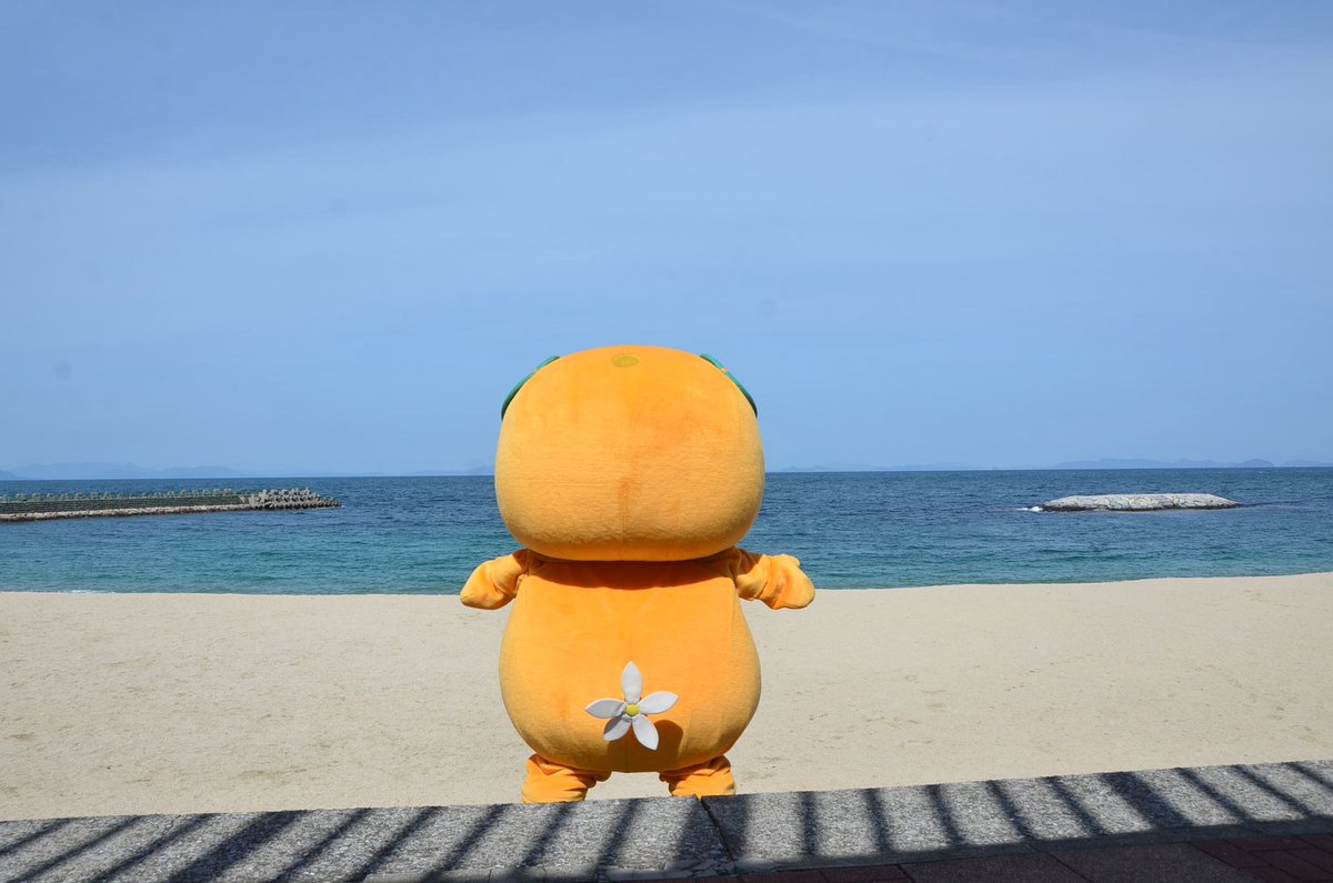みきゃん【公式】《愛媛県イメージアップキャラクター》 tweet media