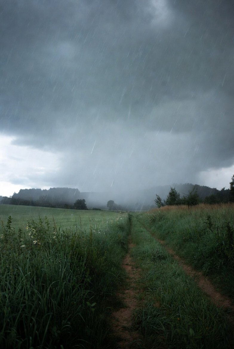 Een Vlaamse veld in maart 2026 ☂️
