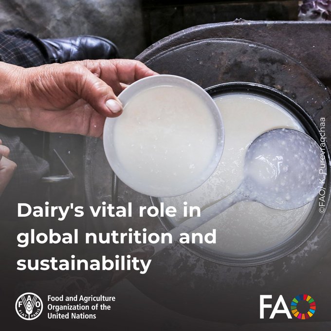 FAO Livestock tweet media