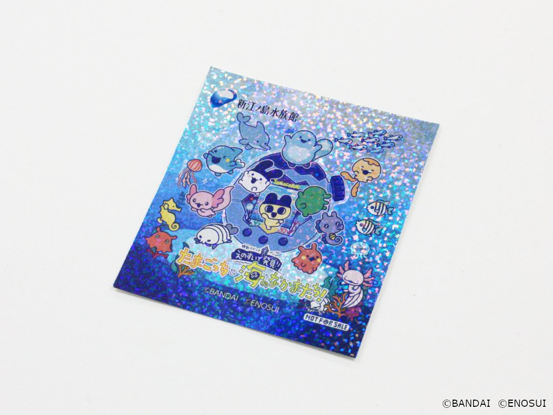 新江ノ島水族館 tweet media