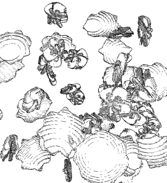 tenebris.via tweet media