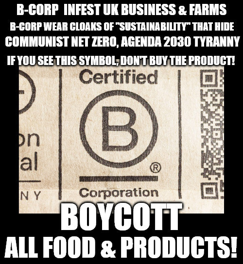 Jane Rochford Boleyn tweet media