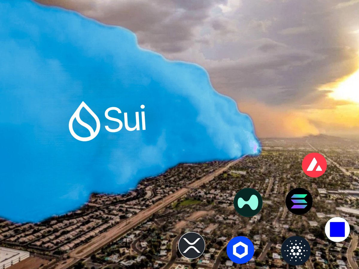 Sui Insiders💧 tweet media