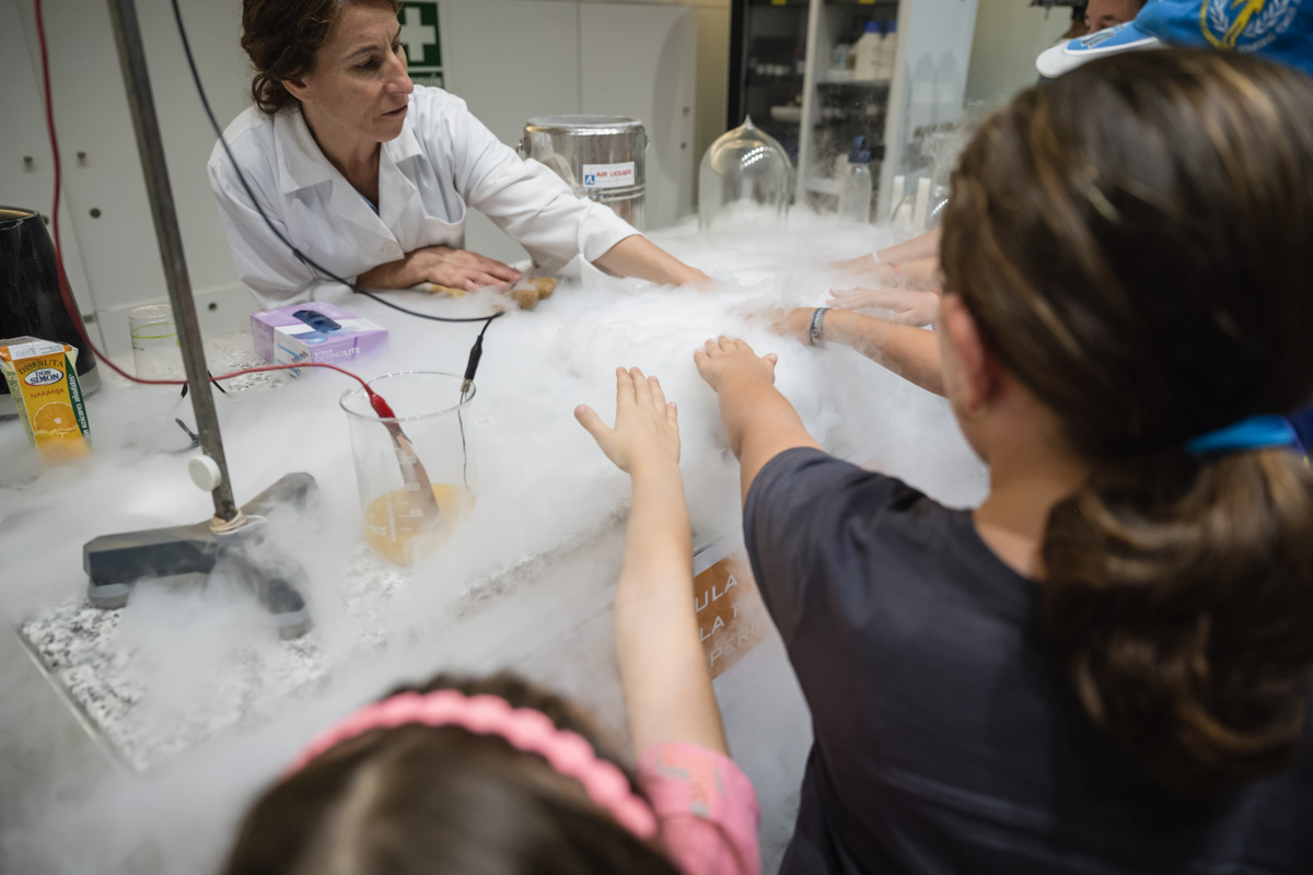 Ciudad Artes Ciencia tweet media