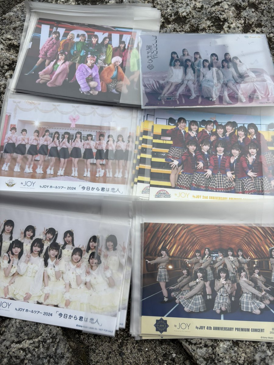 トレ垢🐾固ツイ必読🐾 tweet media