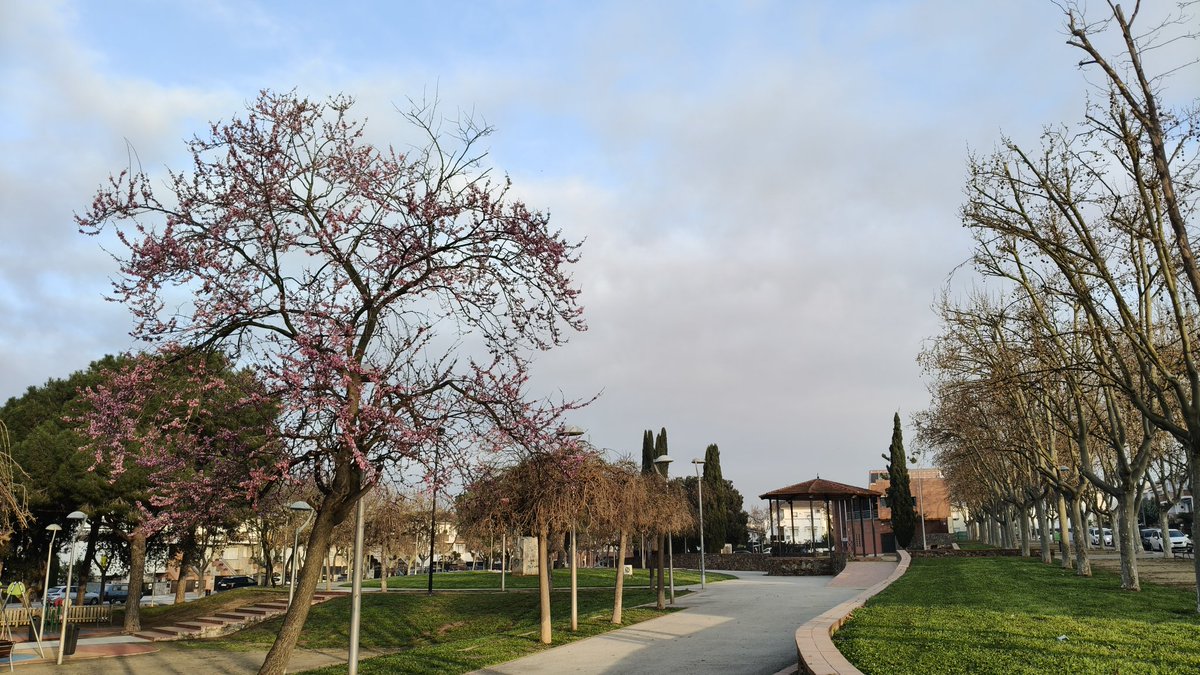 Joan Ramon Mercè tweet media