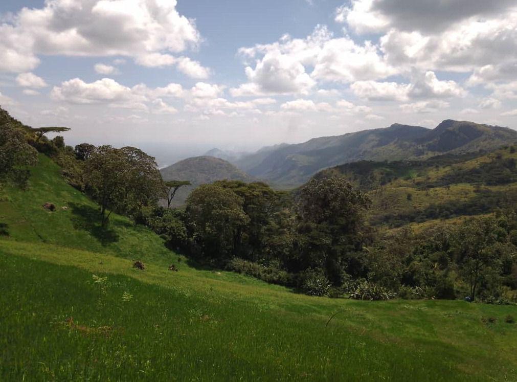 Mountain Slayers Uganda tweet media