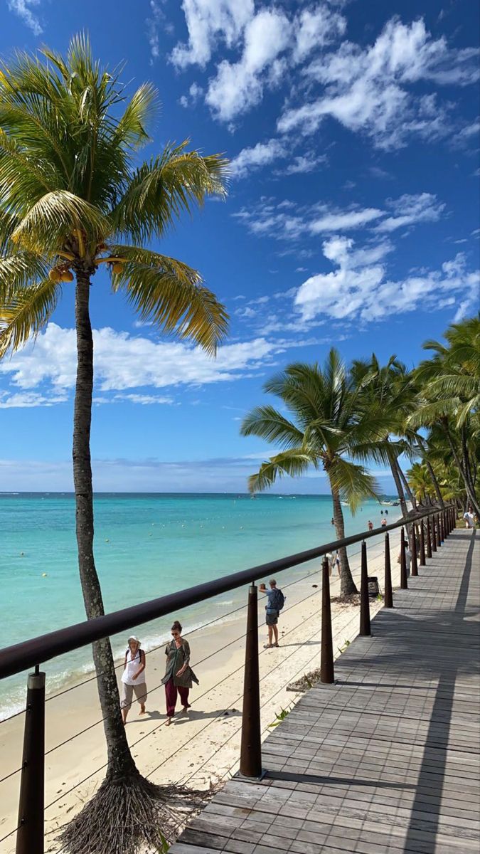 Mauritius Island tweet media