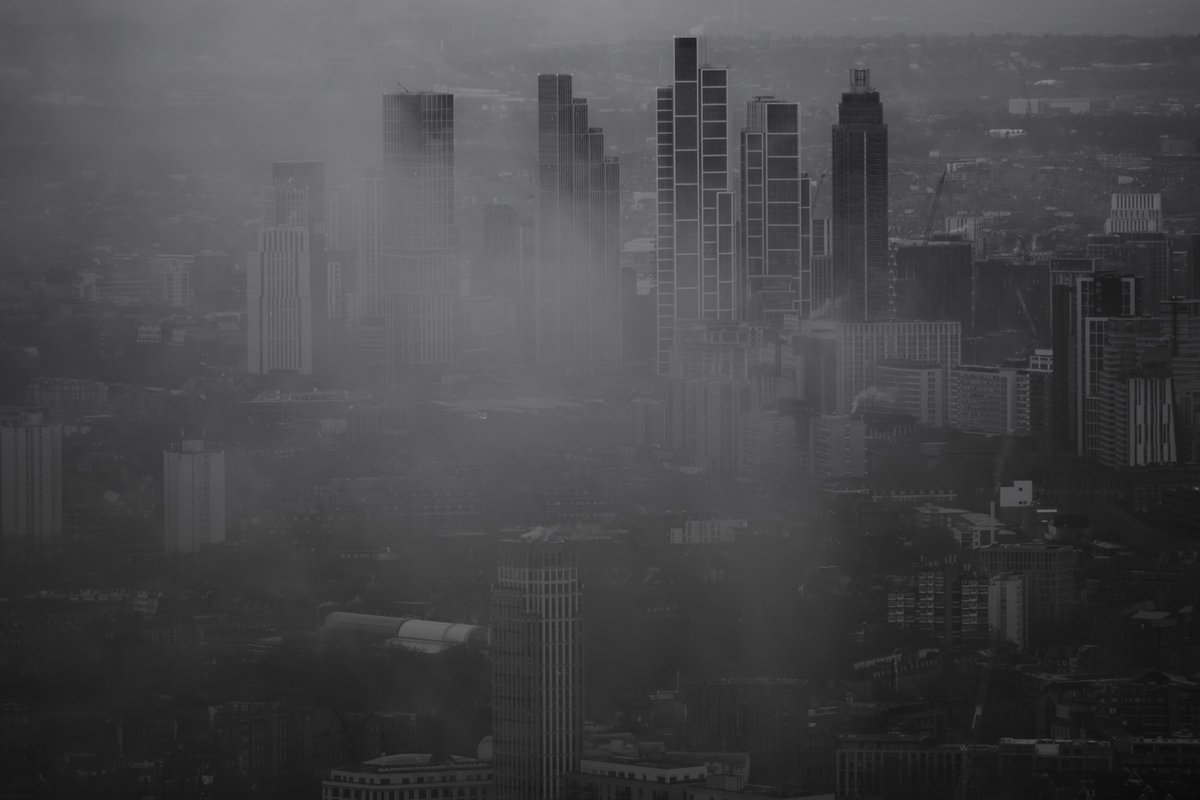 Daily Picture Theme tweet media