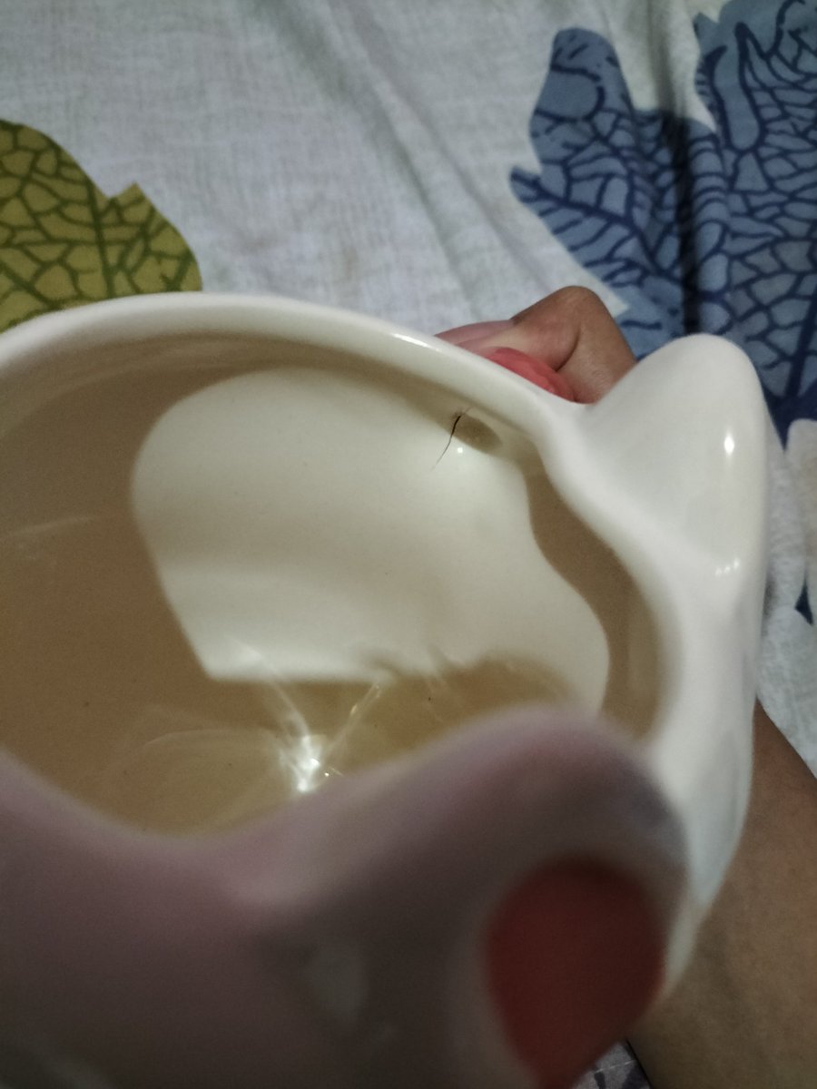 pesen bunga komen postingan sj tweet media