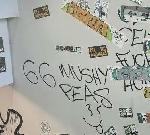 Son Of Ulster tweet media