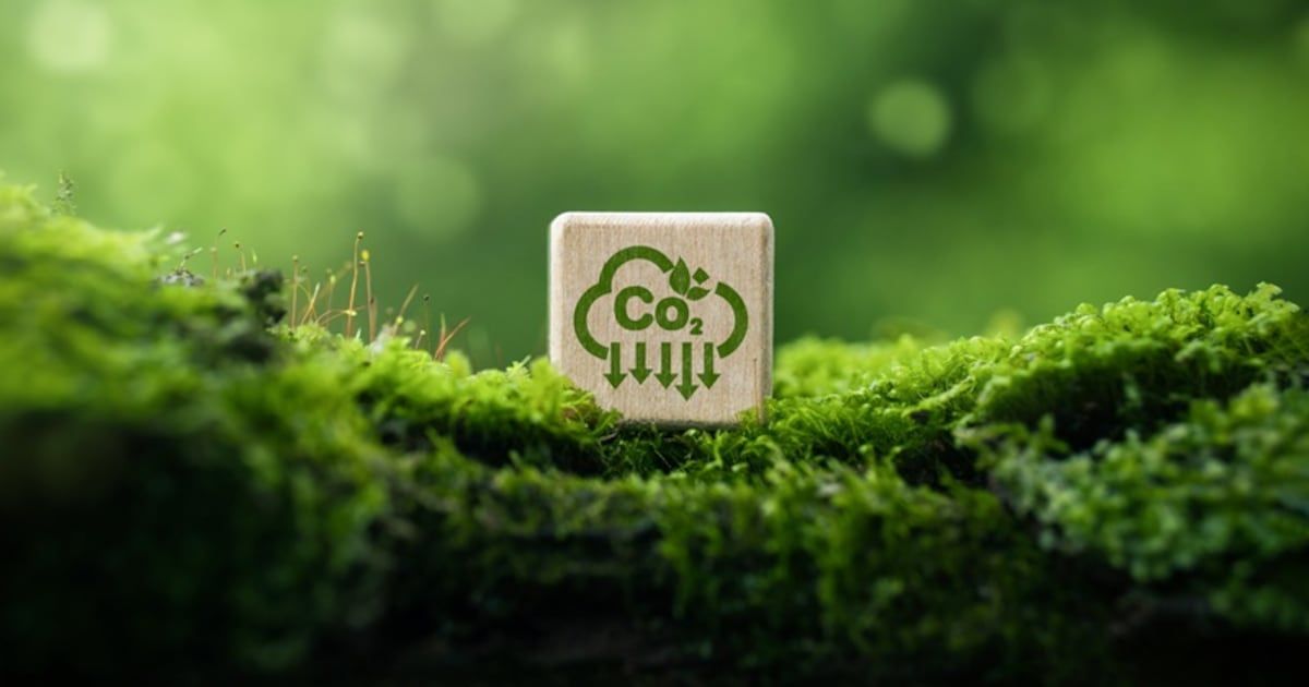 FoodNavAsia tweet media