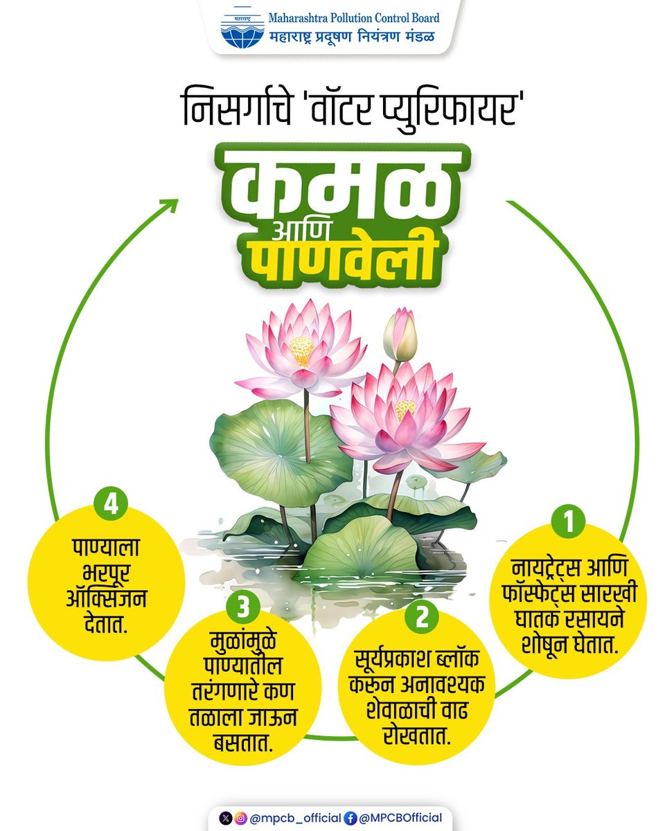 Maharashtra Pollution Control Board tweet media