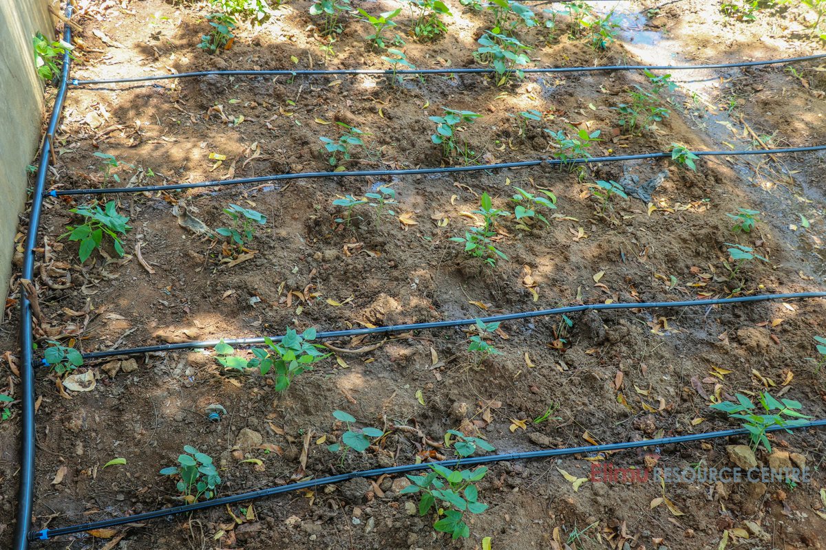 ElimuProjects tweet media