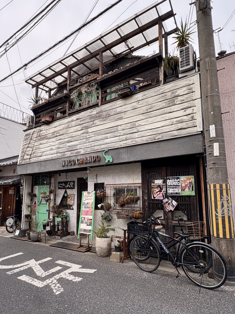 別件で奈良に来ていて、ぷらぷら歩いてたら菜の花さんのチラシが現れてびっくり。