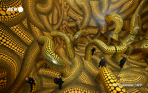 AFP News Agency tweet media