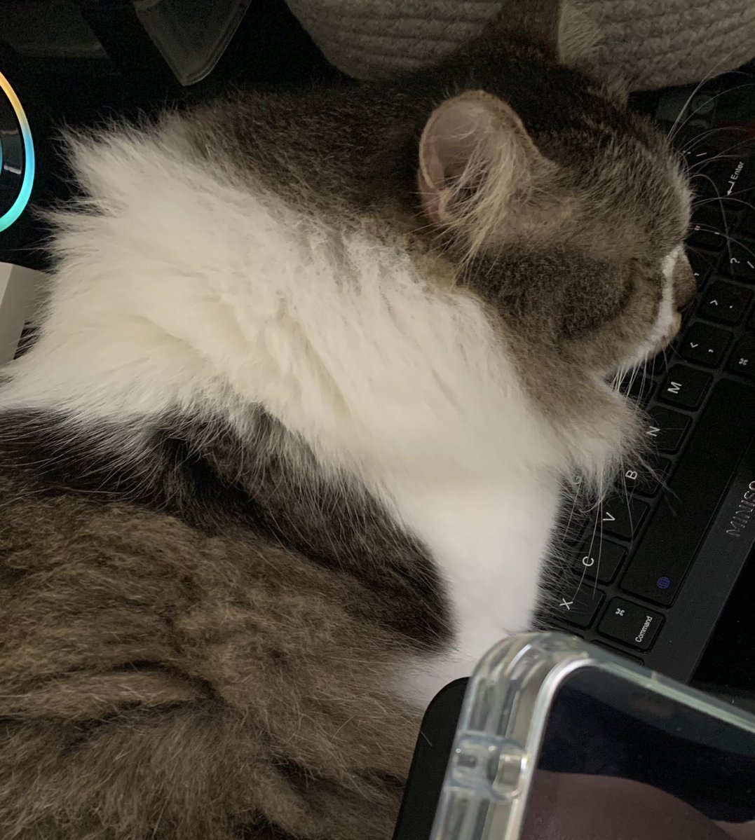 MAXINTOSHI 💎 VGen Comms OPEN tweet media