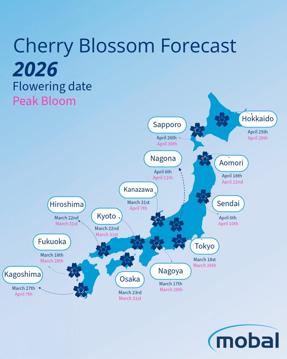 Mobal 🌐 tweet media