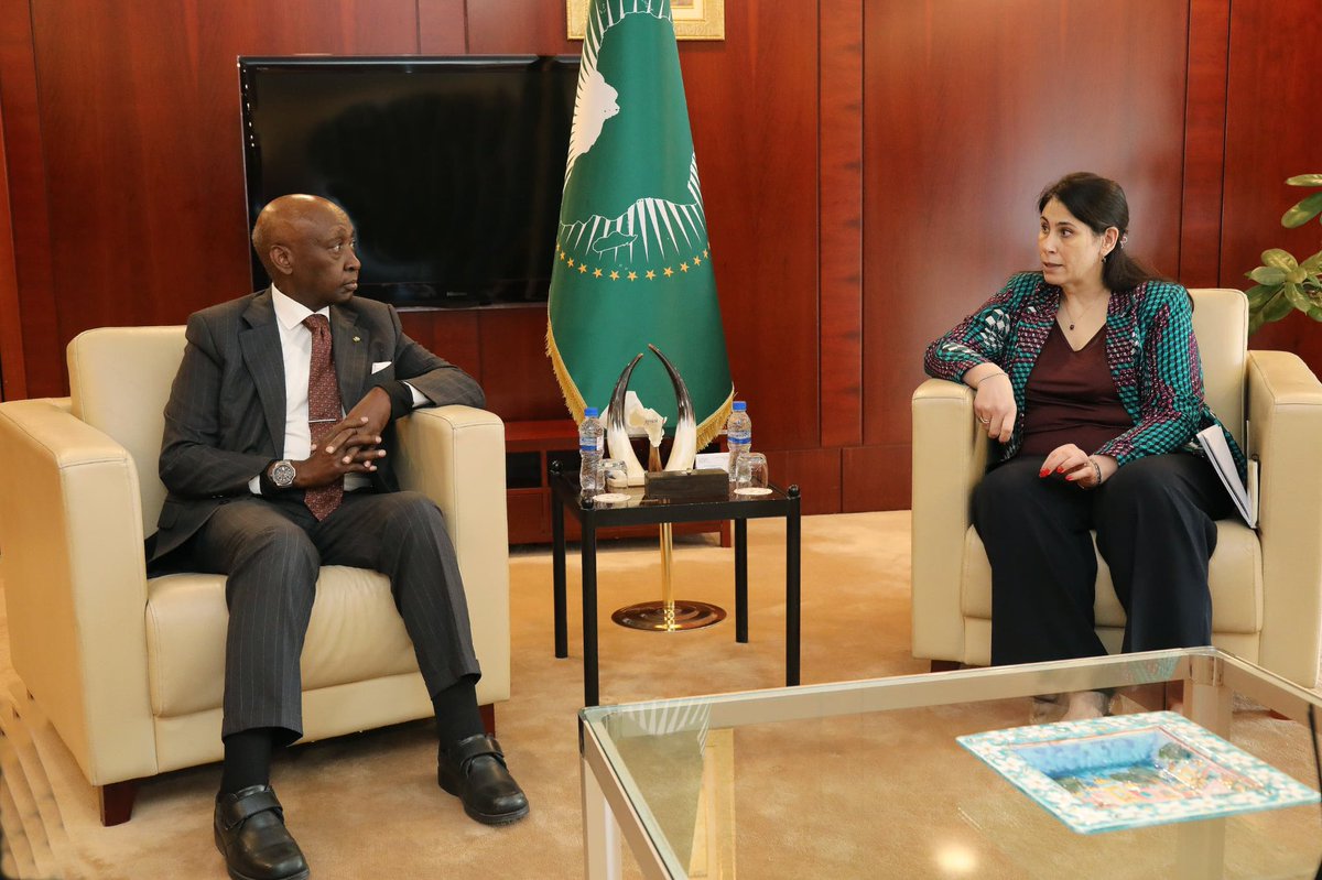 H.E Amb. Selma Malika Haddadi tweet media