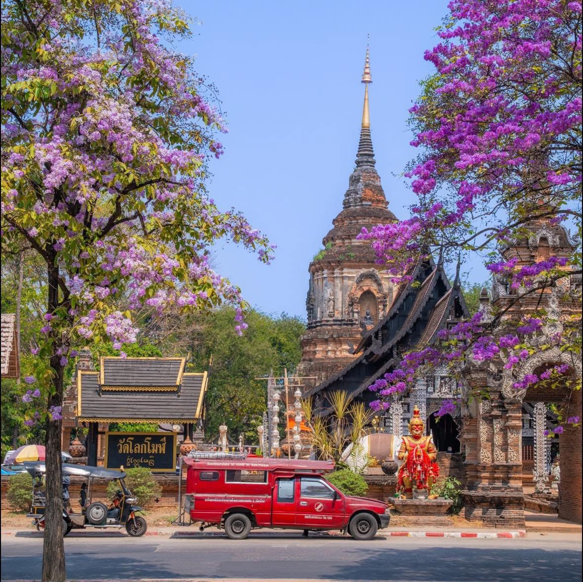 ลูกอีหน่อแตด tweet media