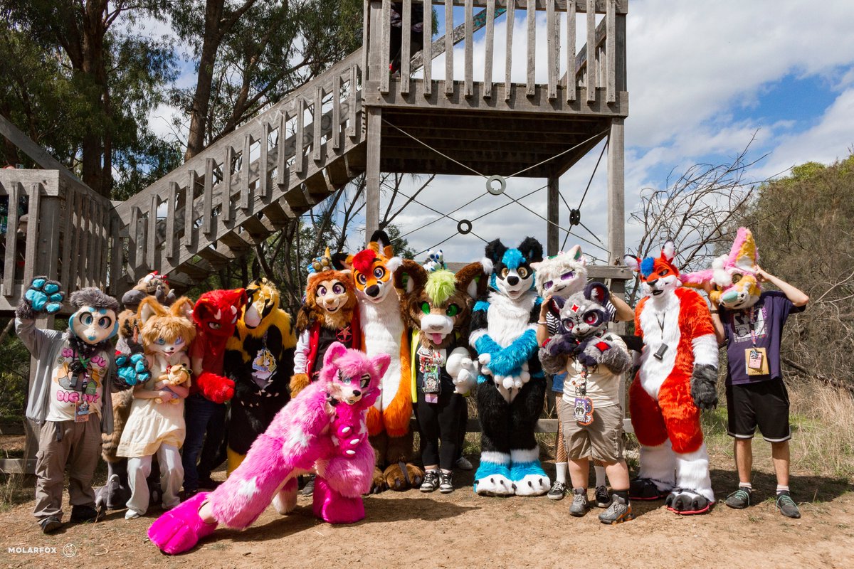 Colto Fox tweet media