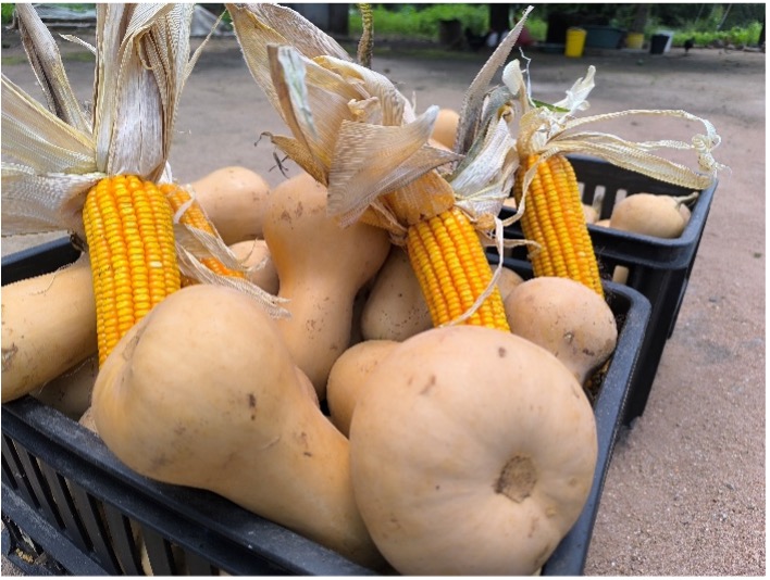 CARE Zimbabwe tweet media