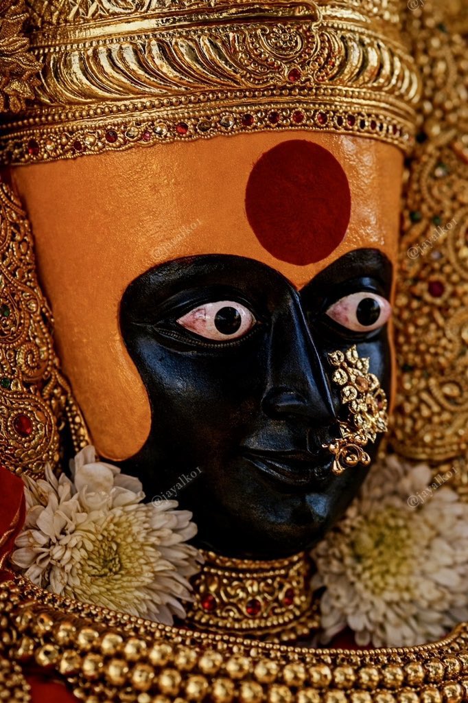 DrCharudatta pingale tweet media