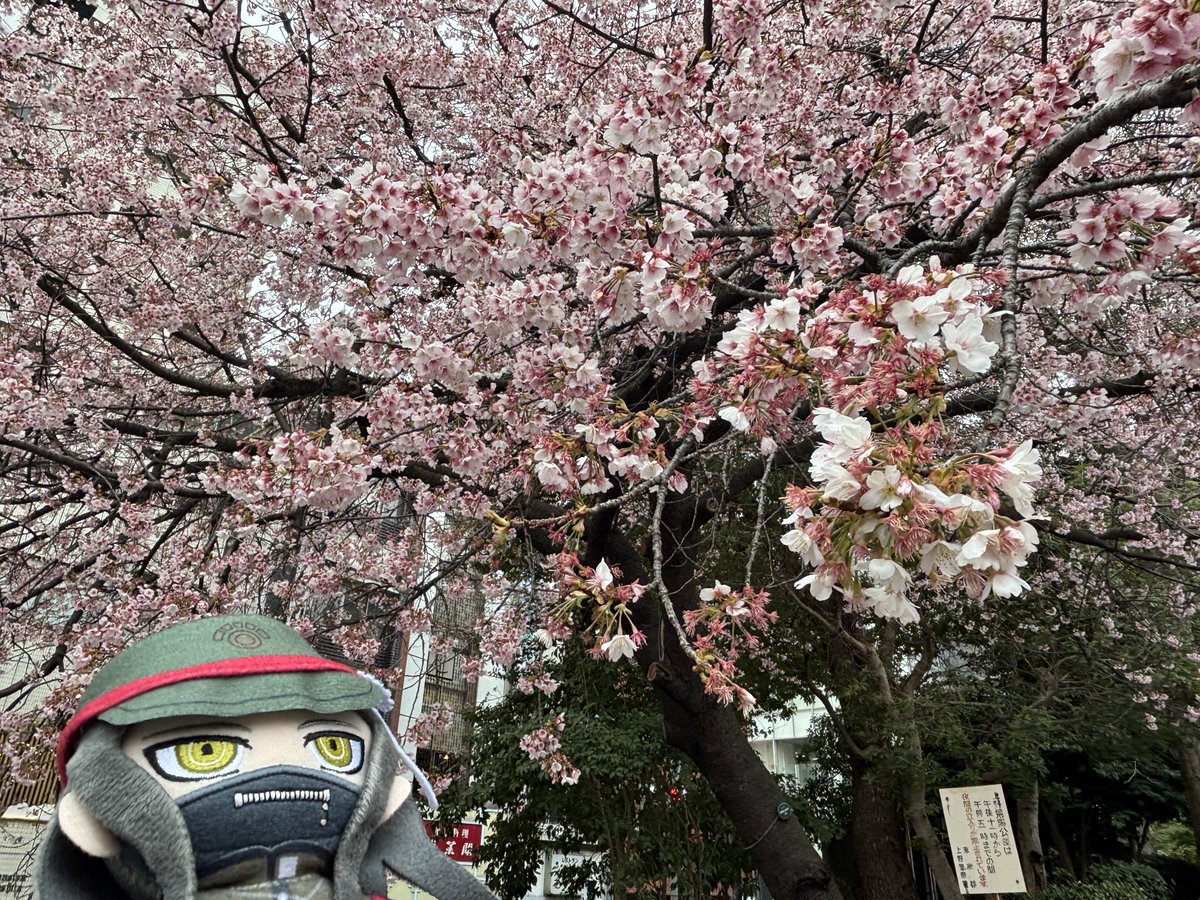 ヘロンパ tweet media