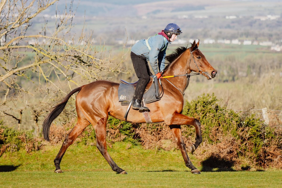 Christian Williams Racing tweet media