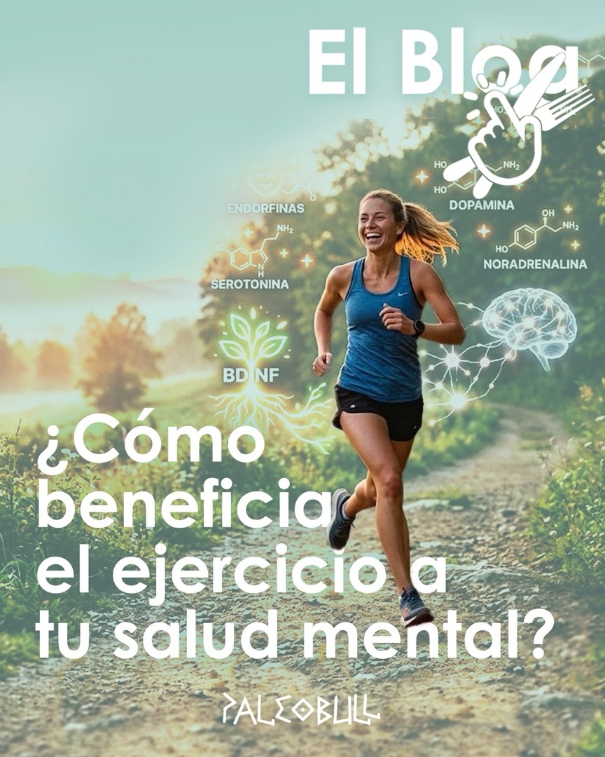 paleobull tweet media