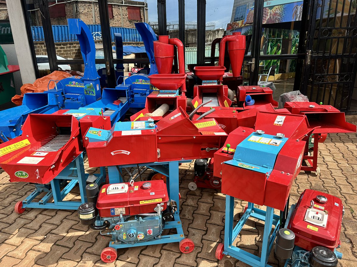 Youth Platform Africa tweet media