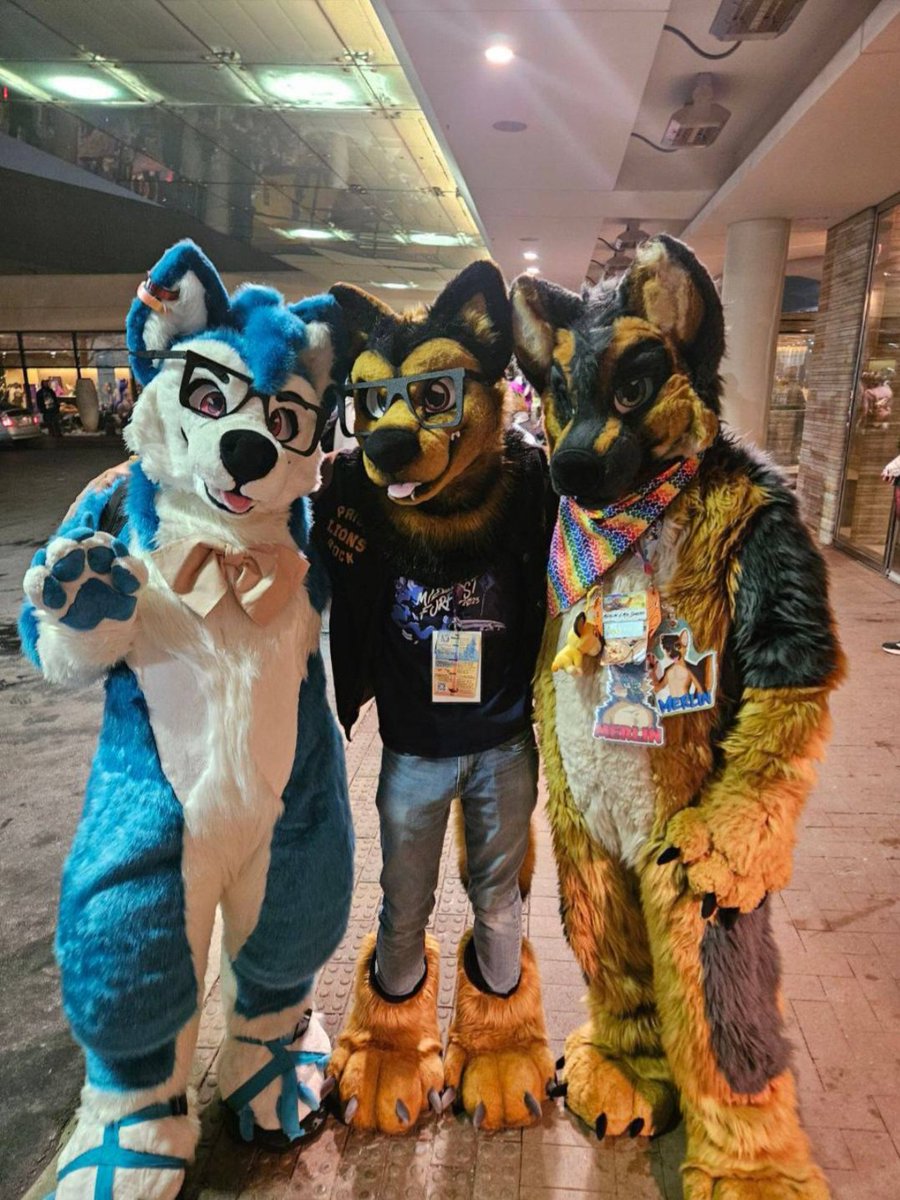 Adam Curly 🔜CFz, MP, Furrific & MFF tweet media