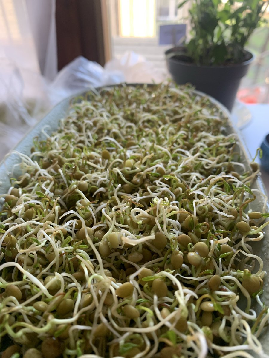 جَزر و مَد tweet media