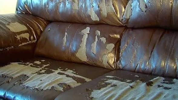 Don't invite me over if you have a leather couch that is peeling,,I will peel it more when you're not looking..... FORGET MATURITY 😂🫣