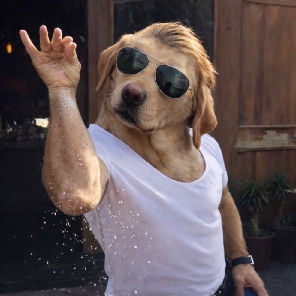 Aaaaand I woke up to 1000 + followers of meme page!!!
Gj fam, love u all!!!
The next great day to be proud $dog bagworker and believer!!