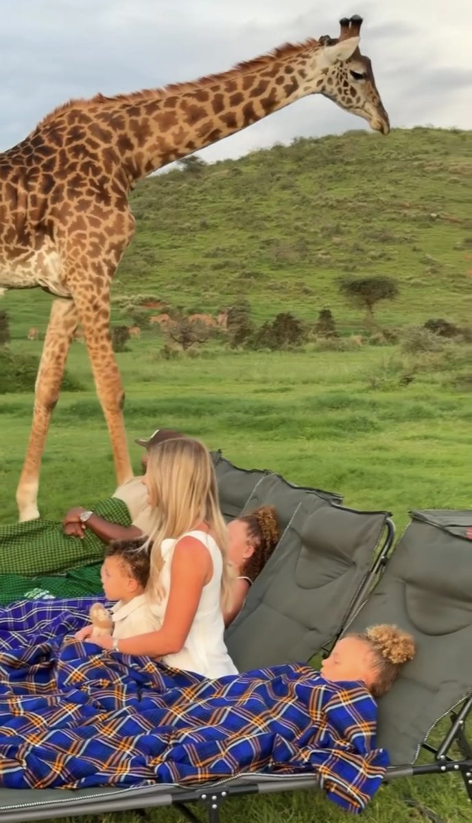 KkunSahNextICT's tweet photo. Thinking of a #SafariWithKids? Here is Tip #1: Skip the big lodges. Book a private safari vehicle.

Why? Because when your 4-year-old needs a sudden bathroom break or gets bored, you aren't disturbing 10 other guests. Total freedom.

#TanzaniaWithToddlers #TribesGorillaSafaris 🦁 https://t.co/YQB7oe3R0Q