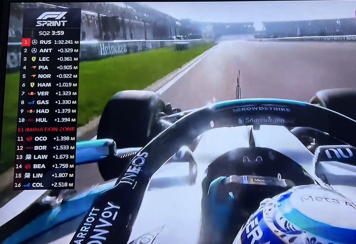 Oriental Darter tweet media