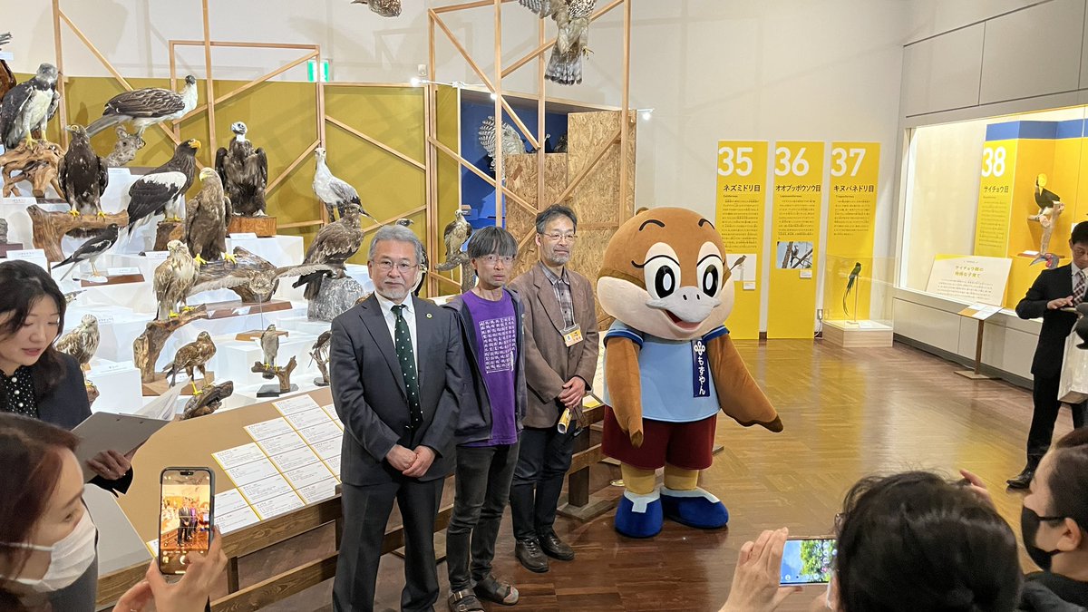 【公式】特別展「鳥」 tweet media