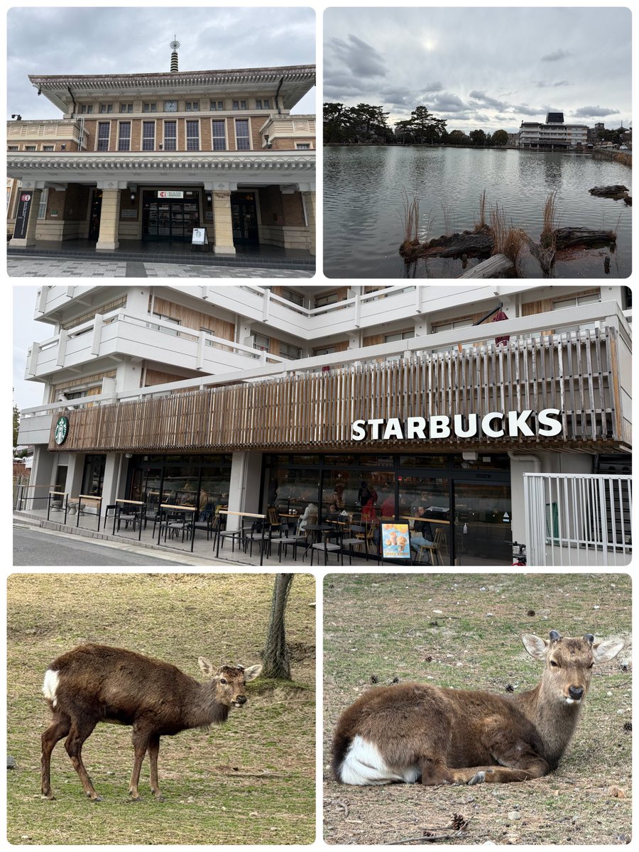 大阪での明日のコンサートの前に　#スタバ巡り

滋賀県と奈良県のスタンプを集めたくて…

京都→大津(滋賀県)
  (京都から10分で行けるとは)
①大津駅にあるスタバ
　ついでに琵琶湖まで

大津→→奈良
②奈良駅近くのスタバ
③奈良公園入り口(猿沢池前)     にあるスタバ

 #スターバックスリワード