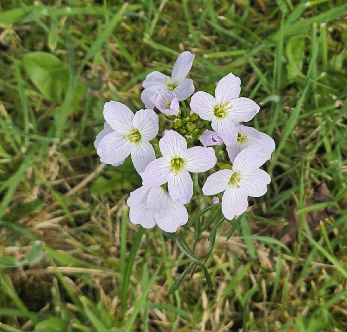 niwnews's tweet image. Happy Friday

Today you have Nicola &amp;amp; Conor 
You can contact us on Chat or send us a DM
If you need our help with water and sewerage issues we are here from 8am to 11pm 

Updates here 👉 orlo.uk/Mkl0m

📸 By  Nicky #SpringIsComing 😍