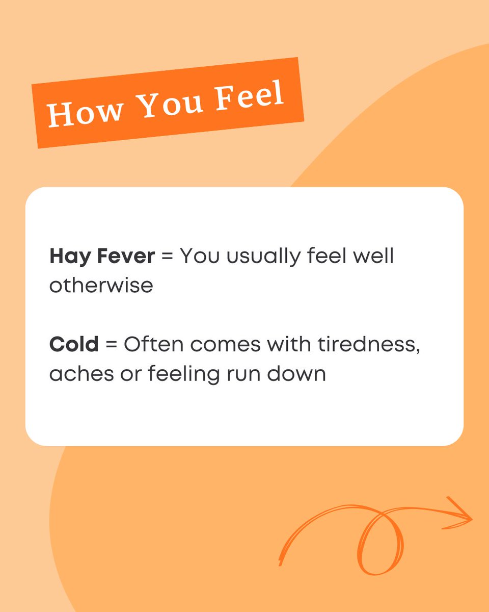 HayFever?HayMax tweet media