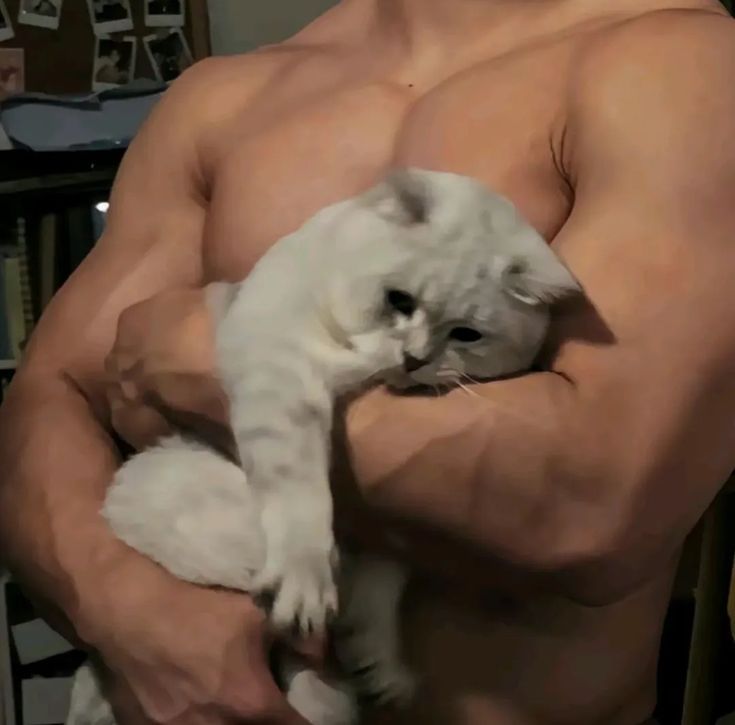 𝐒𝐜𝐫𝐨𝐥𝐥 𝐩𝐢𝐜𝐬 tweet media