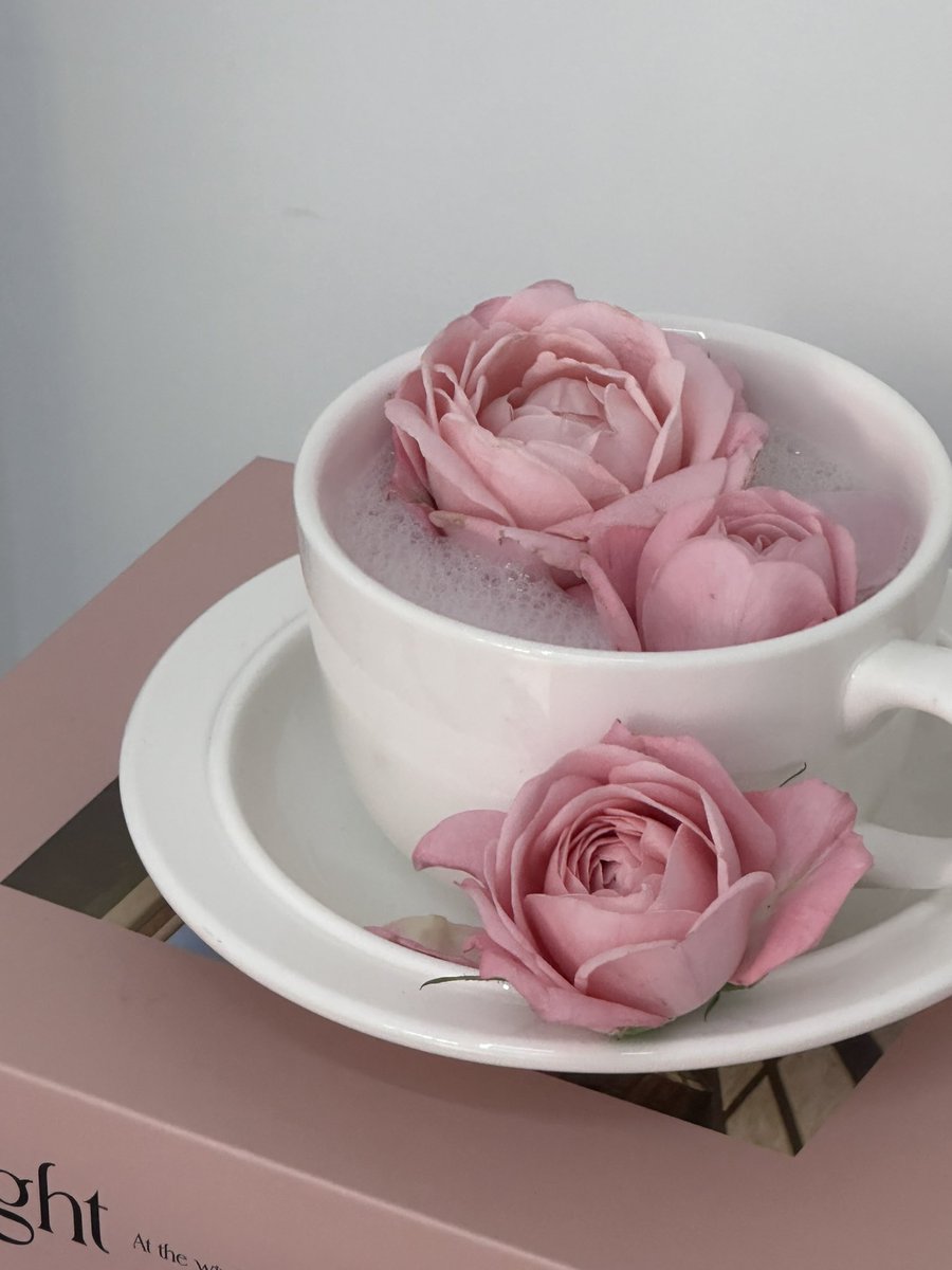 얼터_alternativestereo tweet media